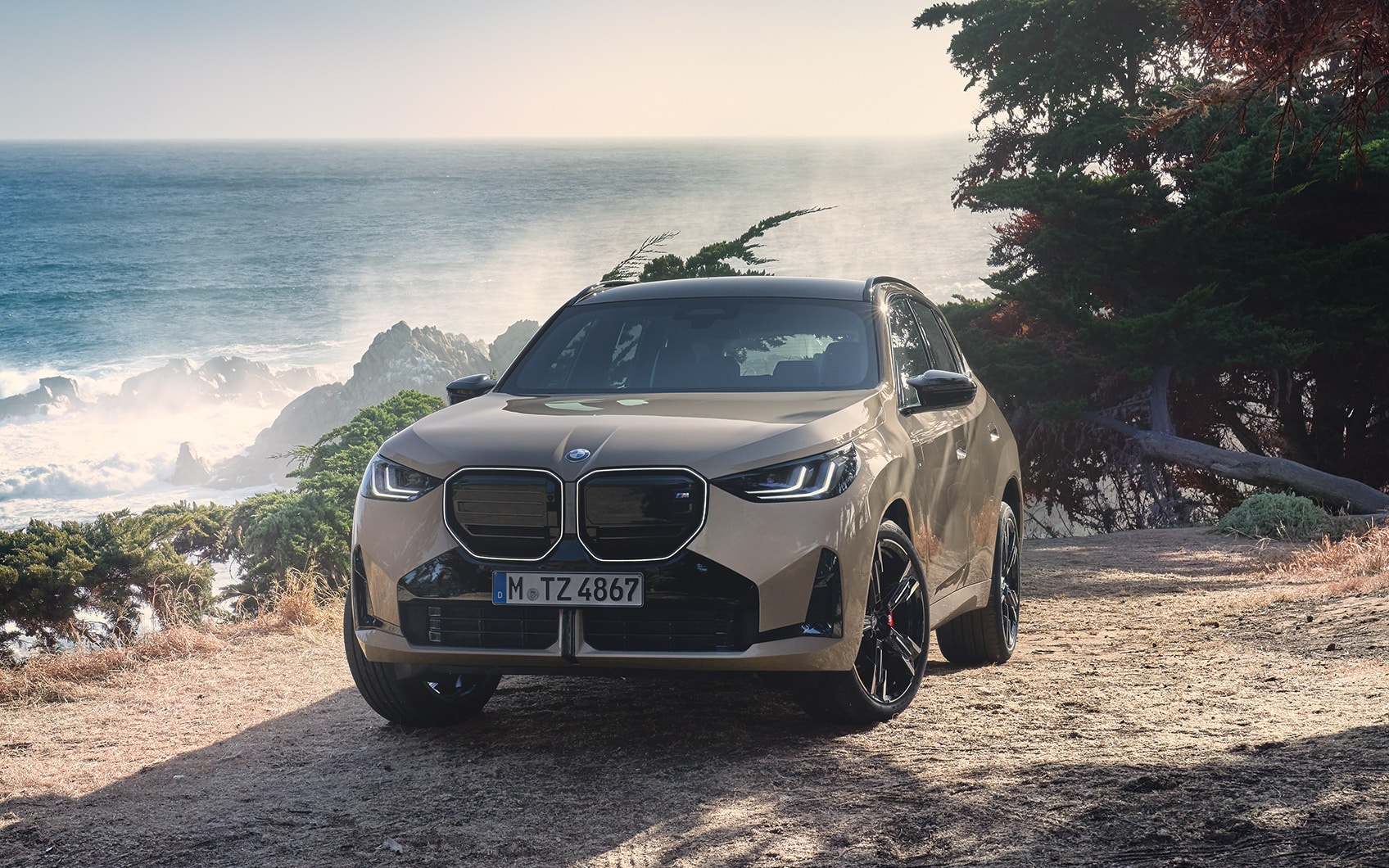 Grauer BMW X3 mit markanter BMW Niere parkend an einer Küste mit Blick auf das Meer im Hintergrund